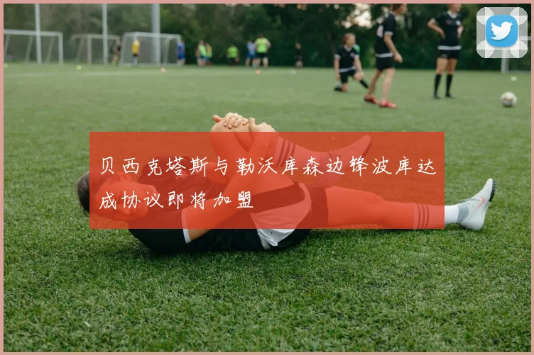 贝西克塔斯与勒沃库森边锋波库达成协议即将加盟