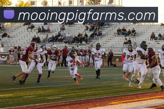 奖项证书